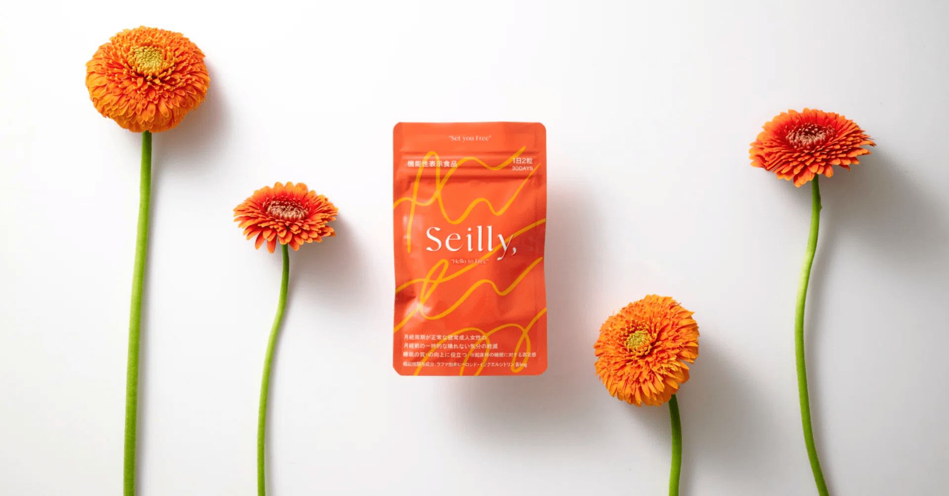 Seilly,のキャプチャ画像