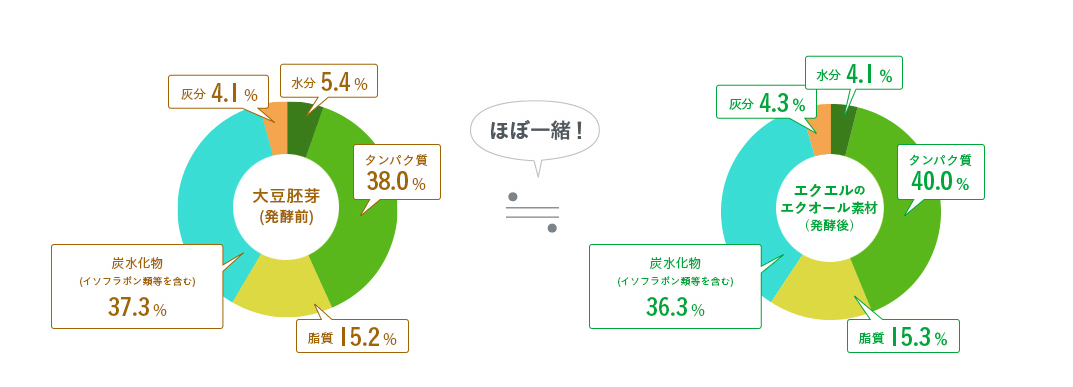 エクエルの特徴の補足画像